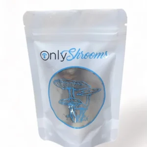 Dried Magic Mushrooms 3.5g - Only Shrooms